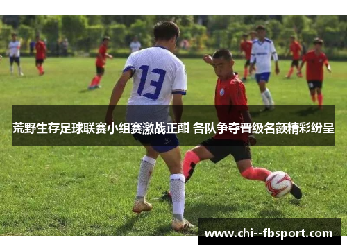 荒野生存足球联赛小组赛激战正酣 各队争夺晋级名额精彩纷呈 荒野生存足球联赛小组赛激战正酣 各队争夺晋级名额精彩纷呈