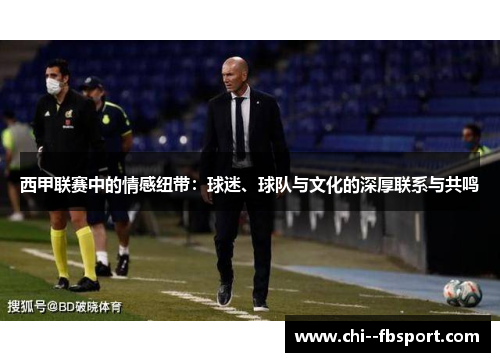 西甲联赛中的情感纽带：球迷、球队与文化的深厚联系与共鸣