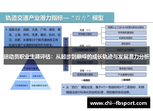 运动员职业生涯评估：从起步到巅峰的成长轨迹与发展潜力分析