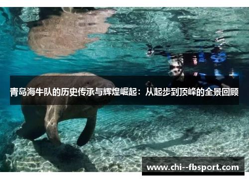 青岛海牛队的历史传承与辉煌崛起:从起步到顶峰的全景回顾 青岛海牛队的历史传承与辉煌崛起:从起步到顶峰的全景回顾