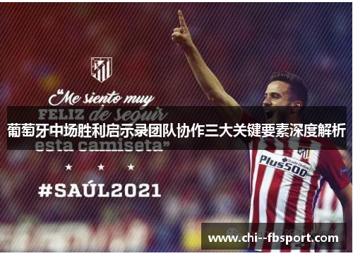 葡萄牙中场胜利启示录团队协作三大关键要素深度解析 葡萄牙中场胜利启示录团队协作三大关键要素深度解析