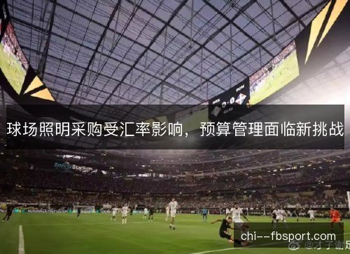 球场照明采购受汇率影响，预算管理面临新挑战