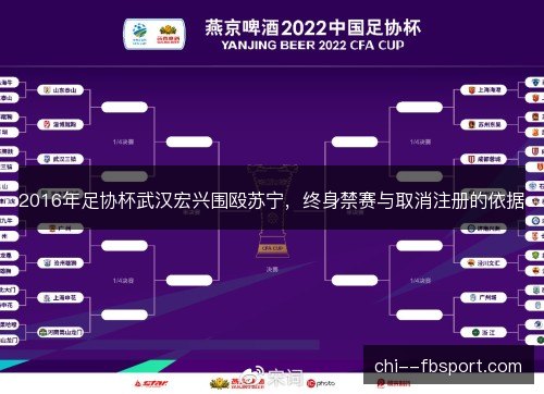 2016年足协杯武汉宏兴围殴苏宁,终身禁赛与取消注册的依据 2016年足协杯武汉宏兴围殴苏宁,终身禁赛与取消注册的依据